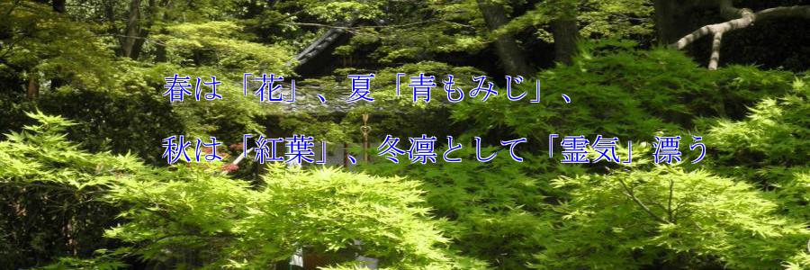 �摜08